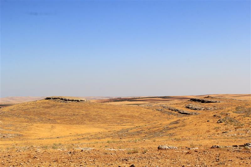 Şanlıurfa Kızılkuyu Yaban Hayatı Geliştirme Sahası