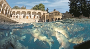 Balıklıgöl hakkında bilmeniz gereken şeyler