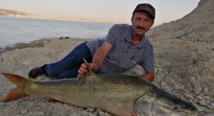 Fırat Baraj Göletinde yakalanan dev balıklar