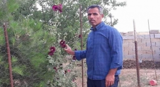 Akçakale'de feci olay! Hastanede hayatını kaybetti