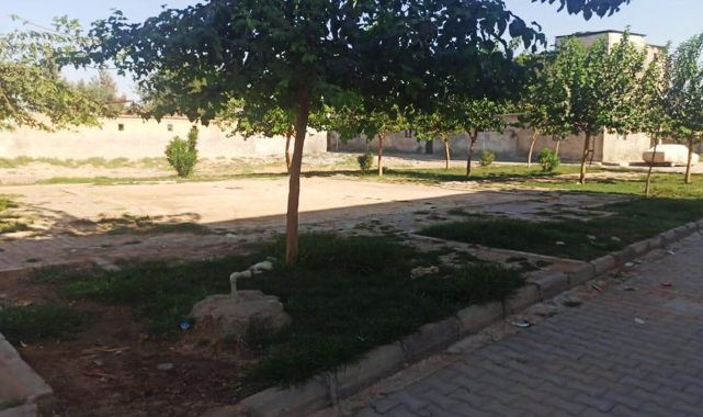 Akçakale'de 'yok artık' dedirten iddia: Çocuk parkını satmışlar!