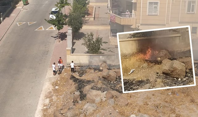 Arazide çıkan yangını çocuklar söndürdü