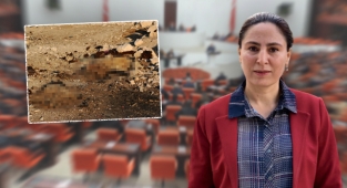 Birecik'te hayvanların telef olduğu mahallenin su sorunu meclise taşındı