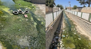 Ceylanpınar'da tepki çeken görüntüler