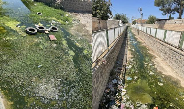 Ceylanpınar'da tepki çeken görüntüler