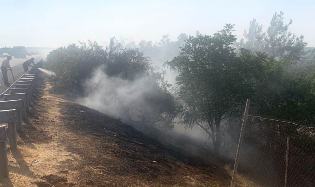 Çıkan yangın Kaymakamı isyan ettirdi!
