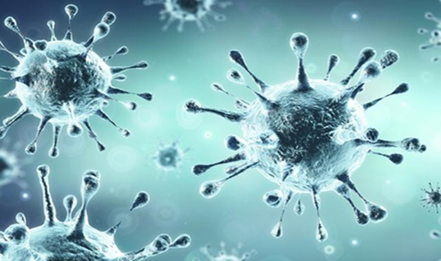 Cumhurbaşkanı Erdoğan son noktayı koydu: PCR testi zorunlu!