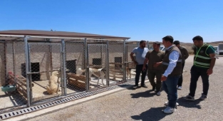 Güneydoğu illerinde denetim: Aralarında Urfa da var