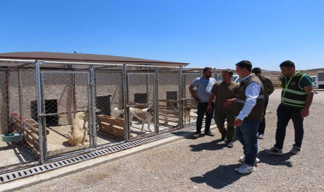 Güneydoğu illerinde denetim: Aralarında Urfa da var