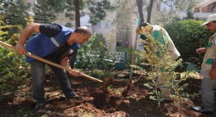 Haliliye’de parklar yeni görünüme kavuşuyor