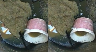 Hayvancılık faaliyetleri alt yapı sorunlarına neden oluyor