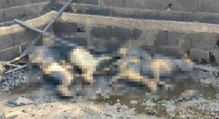 Hilvan'da feci olay! Diri diri yandılar