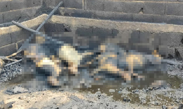 Hilvan'da feci olay! Diri diri yandılar