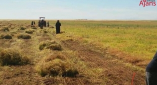 Kırmızı mercimek 9 TL'ye dayandı