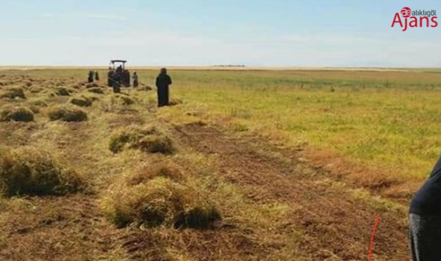 Kırmızı mercimek 9 TL'ye dayandı