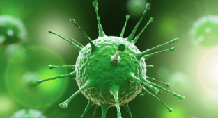 Ölümler ve yeni hastalar artıyor! Umut gençlere bağlandı