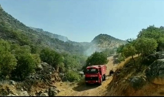 Şanlıurfa'da ağaçlık alanda yangın