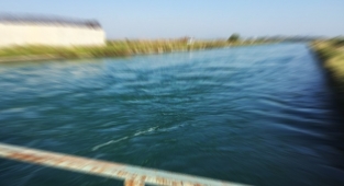 Şanlıurfa'da sulama kanalına düşen genç kayboldu