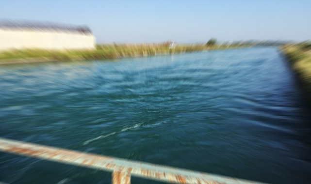 Şanlıurfa'da sulama kanalına düşen genç kayboldu