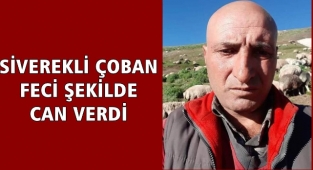 Siverekli Erdal Çubuk Erzurum'da hayatını kaybetti