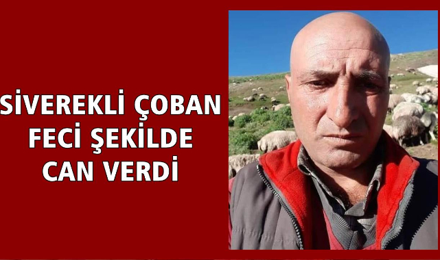 Siverekli Erdal Çubuk Erzurum'da hayatını kaybetti