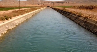 Sulama kanalına düşmüştü! Acı haber geldi