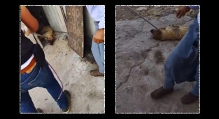 Tepki çeken Siverek Belediyesi açıklama yapmak zorunda kaldı