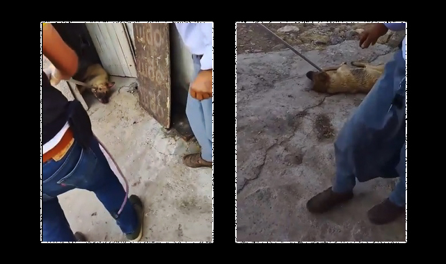 Tepki çeken Siverek Belediyesi açıklama yapmak zorunda kaldı