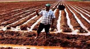 Uzmanlar uyardı! Türkiye vahşi sulamadan olumsuz etkileniyor