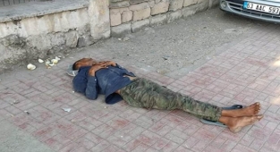 Viranşehir'de yürek burkan görüntü