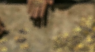 Define avcılarına darbe! 528 parça ele geçirildi