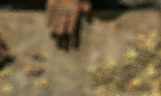 Define avcılarına darbe! 528 parça ele geçirildi