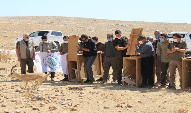 Genel Müdür Üzmez: Tetiğe değil deklanşöre basın