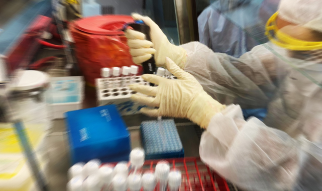 Haftalık vaka sayıları açıklandı: Şanlıurfa'da son durum ne?