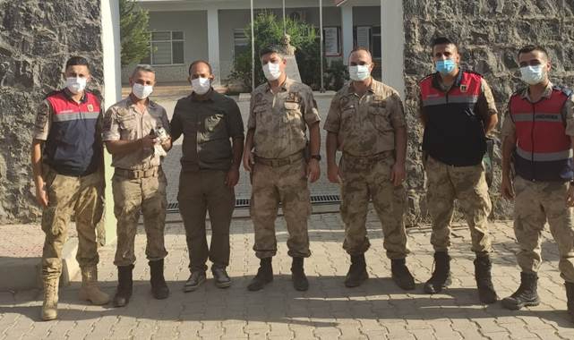 Jandarma yaralı halde buldu: Tedaviye alındı