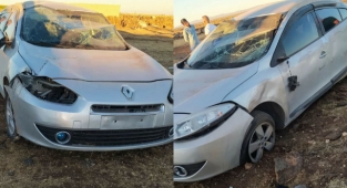 Köpeklere çarpmamak için direksiyonu kırınca takla attı