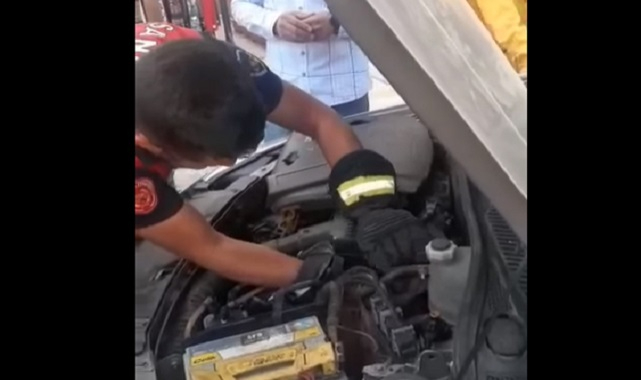 Otomobilin motorundan bakın ne çıktı?