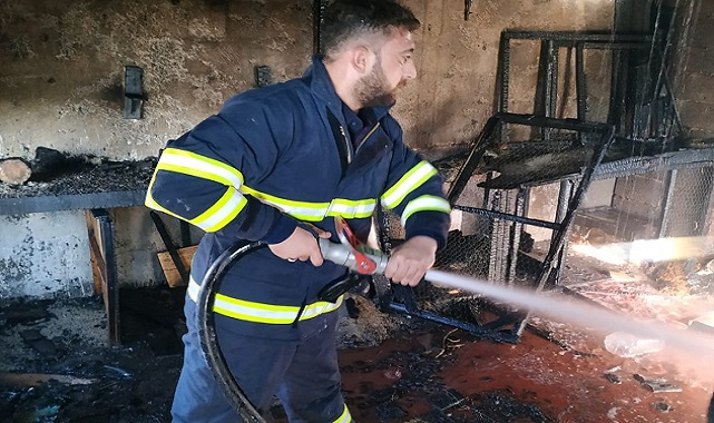 Şanlıurfa’nın ilçesinde yangın