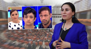 Şanlıurfa vekili Sürücü kan donduran olayı TBMM'ye taşıdı