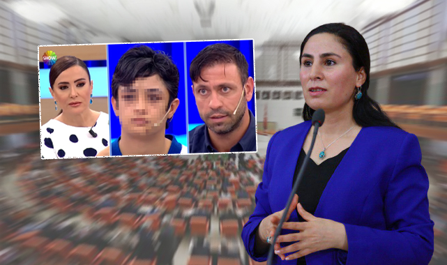 Şanlıurfa vekili Sürücü kan donduran olayı TBMM'ye taşıdı