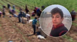 Şanlıurfalı mevsimlik tarım işçisi ailenin oğlu 4 gündür kayıp