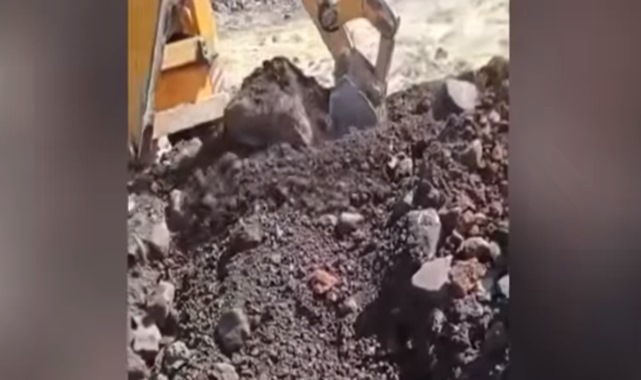 Siverek'te kuduz vakası! Hayvanlar toprağa gömüldü