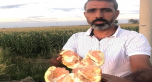 Suruç narının faydaları saymakla bitmiyor