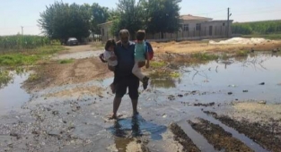 Suruç'ta pes dedirten görüntü! Kucaklarında taşıyorlar