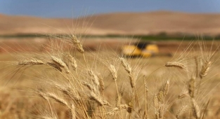 Tarım sektörü rekor kırdı: Tarihi zirveyi gördü