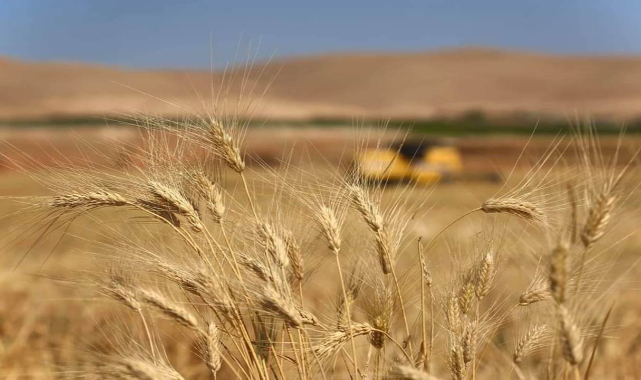 Tarım sektörü rekor kırdı: Tarihi zirveyi gördü