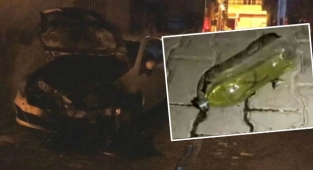 Urfa'da 2 araç kundaklanmıştı! Faili yakalandı