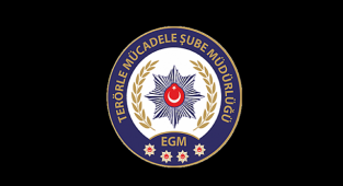 Urfa'da DEAŞ operasyonu! 4 kadın yakalandı