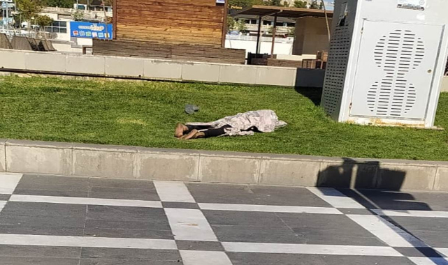 Urfa'daki evsizlerin sayısı artıyor