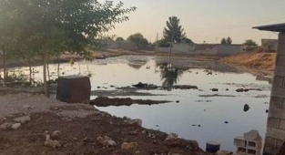 Urfa'nın başı büyük dertte! Bir mahallede daha başladı